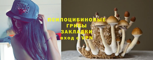 гидра Баксан