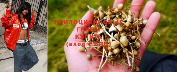 эйфоретик Балахна