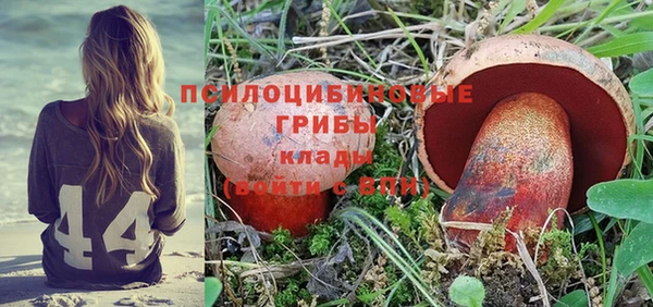 мдпв Балабаново