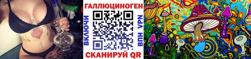 где купить   Костерёво  Галлюциногенные грибы Psilocybine cubensis 